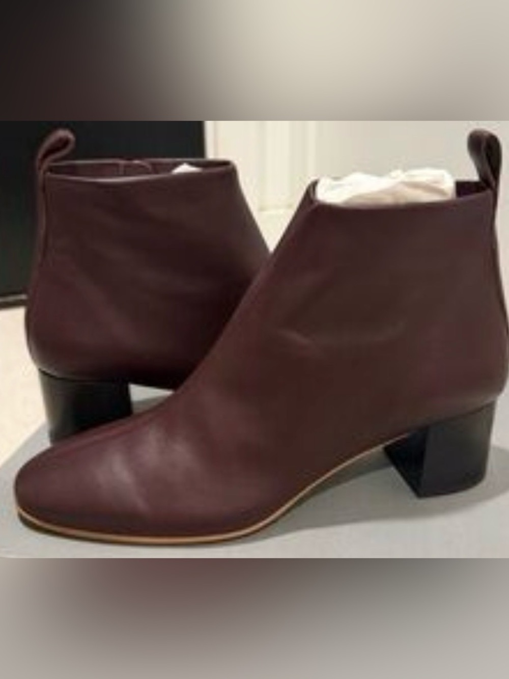 Everlane Made in Italy The Day Boot